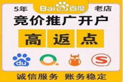竞价推广案例：揭秘行业龙头企业的营销策略